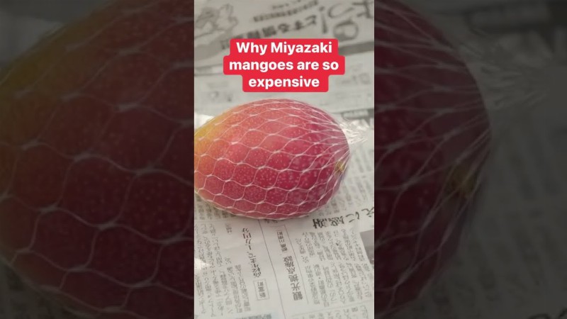 A Pair Of These Japanese Mangoes Can Cost As Much As $4000 #mango #foodinsider #shorts #soexpensive