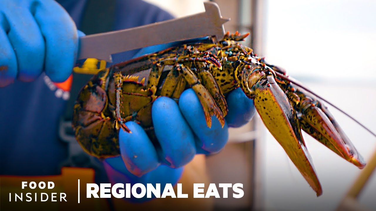 How Lobster Fishers In Maine Catch Lobster For Restaurants Around The World : Regional Eats