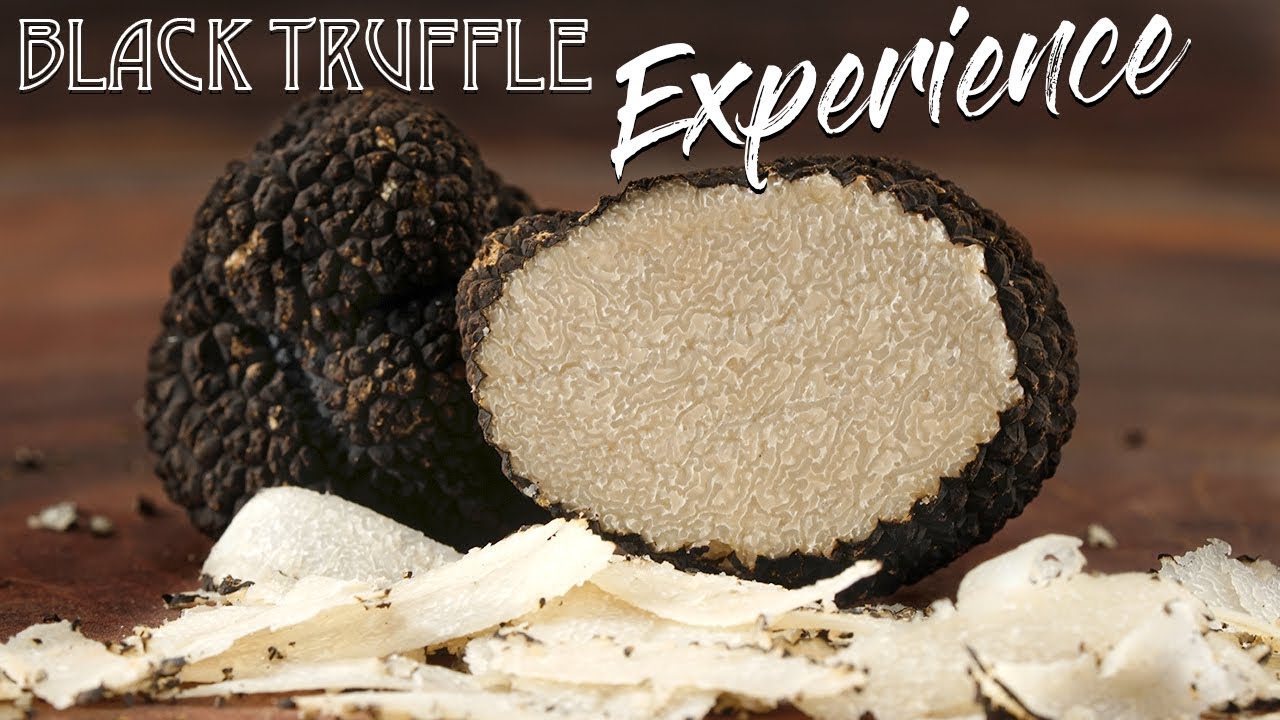 WAGYU Black Truffle CARBONARA Pasta, WOW! | GugaFoods